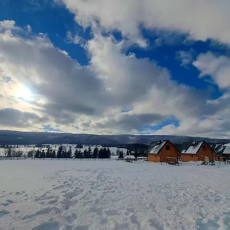 Osada Orlica Klimatyczne Z Widokiem Na Gory I Termalnym Sauna Jacuzzi 4 Km Od Zieleniec Arena Lasowka
