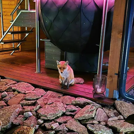 Osada Orlica Klimatyczne Z Widokiem Na Gory I Termalnym Sauna Jacuzzi 4 Km Od Zieleniec Arena * Lasowka