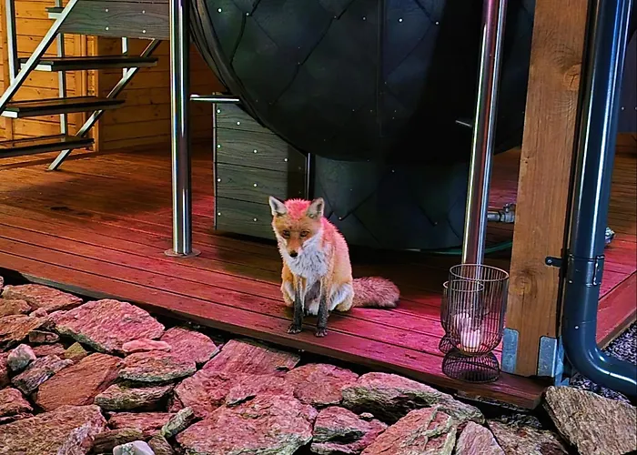 Osada Orlica Klimatyczne Z Widokiem Na Gory I Termalnym Sauna Jacuzzi 4 Km Od Zieleniec Arena * Lasowka